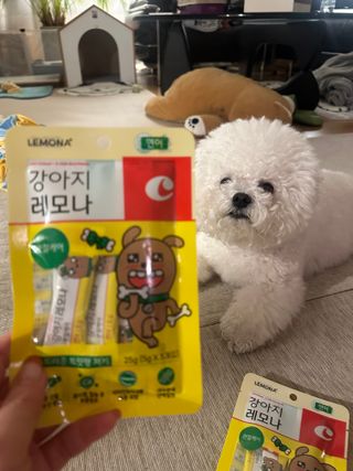 꽁지님이 올린 리뷰 사진 1