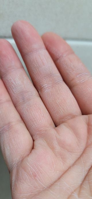란다김님이 올린 리뷰 사진 4