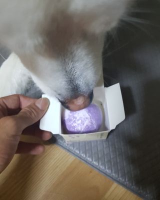 버블데이 배쓰밤 거품입욕제 버블바 6종 — 4점을 준 리뷰어가 2021년 9월 올린 사용 사진