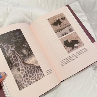 백설님이 올린 리뷰 사진 2