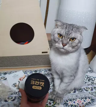 에디터보나님이 올린 리뷰 사진 4