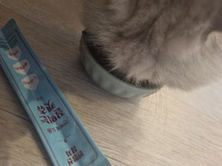 페페로니 잘 먹는 캣츄 - 원양선 참치 24개입 — 5점을 준 리뷰어가 2021년 8월 올린 사용 사진