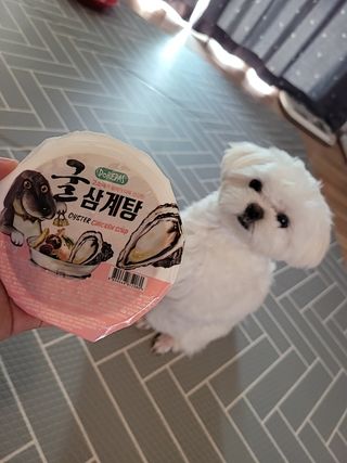 이미선님이 올린 리뷰 사진 1