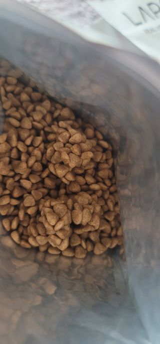 [푸디웜] 라포그 리얼인섹트 소프트키블 스킨 1KG — 5점을 준 리뷰어가 2022년 9월 올린 사용 사진