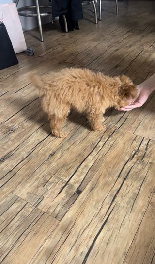 지옥광성님이 올린 리뷰 사진 2