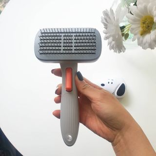 사랑해안시영님이 올린 리뷰 사진 2