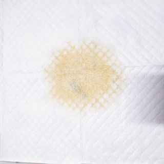 아베크 펫 와이드 프리미엄 중형 애견 강아지 배변 패드 54매 1팩 45g — 5점을 준 리뷰어가 2021년 7월 올린 사용 사진
