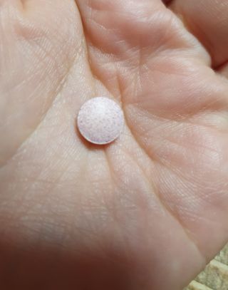 [리노브] 4세대 활성엽산 액티폴릭 270mg x 30정 — 5점을 준 리뷰어가 2022년 9월 올린 사용 사진