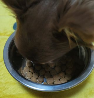 란다김님이 올린 리뷰 사진 2