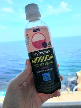 더그레잇티 콤부차 [매일유업] 더그레잇티 44kcal 콤부차 300ml *12개입 (오리지널 6개+베리리치 6개) — 5점을 준 리뷰어가 2023년 8월 올린 사용 사진
