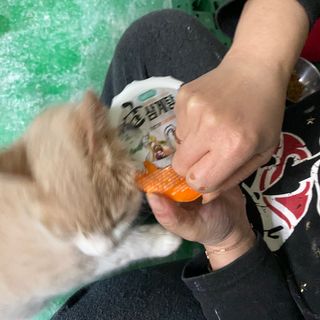 보니보니님이 올린 리뷰 사진 4