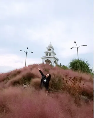 제주녀님이 올린 리뷰 사진 4
