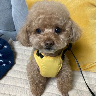 우겅님이 올린 리뷰 사진 3