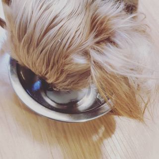 달콩마녀님이 올린 리뷰 사진 3
