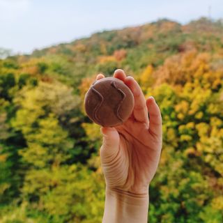 롯데제과 쁘띠몽쉘 마롱몽블랑 — 3점을 준 리뷰어가 2021년 11월 올린 사용 사진