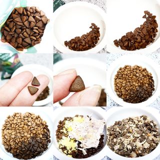 [푸디웜] 라포그  리얼인섹트 웨이트밸런스 저알러지 강아지 사료  1.2KG — 4.5점을 준 리뷰어가 2022년 7월 올린 사용 사진