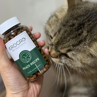 펫21 그로그로 5종 강아지 고양이 반려동물 한방 영양제 — 4점을 준 리뷰어가 2021년 11월 올린 사용 사진