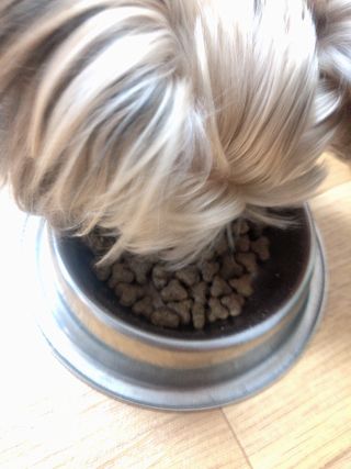 꿀님이 올린 리뷰 사진 2