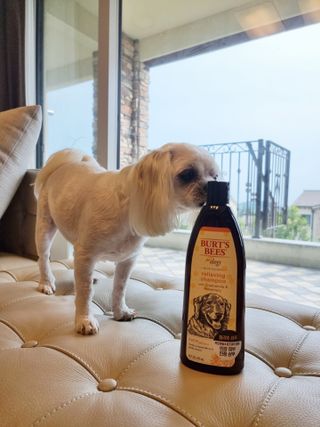신해인님이 올린 리뷰 사진 2