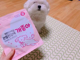My Pet Care 천연단백질 눈건강에 개좋아 — 5점을 준 리뷰어가 2021년 3월 올린 사용 사진