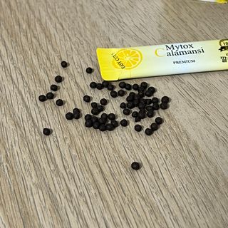 신보웰빙 마이톡스 깔라만시환 1박스/28포 — 5점을 준 리뷰어가 2023년 6월 올린 사용 사진