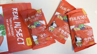 [푸디웜] 라포그  리얼인섹트 관절 저알러지 강아지 사료  1.2KG — 5점을 준 리뷰어가 2022년 8월 올린 사용 사진
