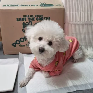 빙빙이님이 올린 리뷰 사진 1