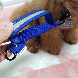 최정임님이 올린 리뷰 사진 4