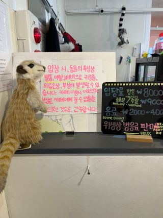 춍춍맛집님이 올린 리뷰 사진 3