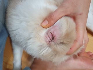 혜자님이 올린 리뷰 사진 2