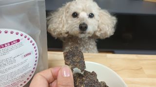 새돌댕댕님이 올린 리뷰 사진 4