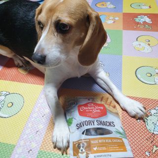 beaglelove님이 올린 리뷰 사진 1