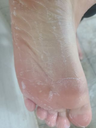 쪼로리님이 올린 리뷰 사진 4