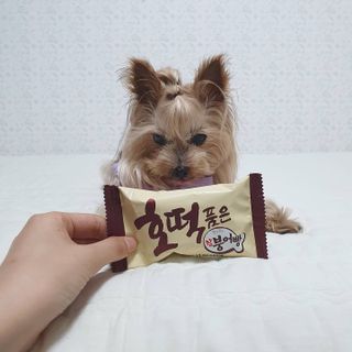 솜희님이 올린 리뷰 사진 3
