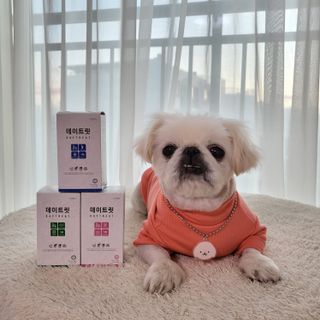 mini unni님이 올린 리뷰 사진 2