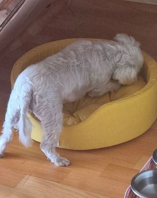 말하는감자라구욧님이 올린 리뷰 사진 3