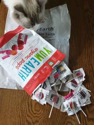 로크찡님이 올린 리뷰 사진 1