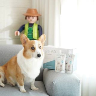 럽쏘이님이 올린 리뷰 사진 3