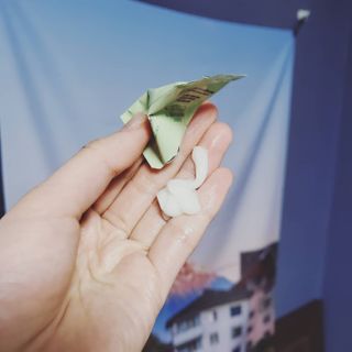 덤보님이 올린 리뷰 사진 2