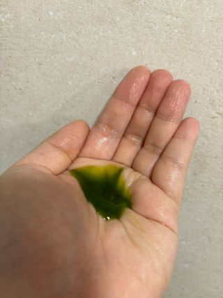 밍아로운님이 올린 리뷰 사진 2