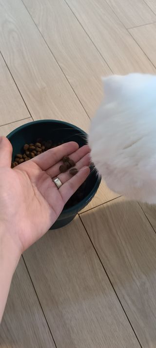 논지님이 올린 리뷰 사진 4
