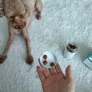 복깨비님이 올린 리뷰 사진 2