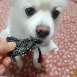바나나님이 올린 리뷰 사진 1