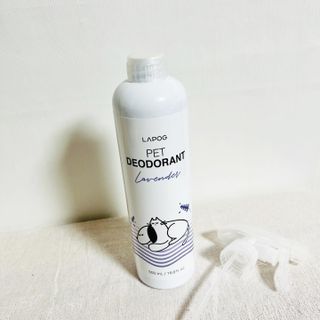 뽀히님이 올린 리뷰 사진 3