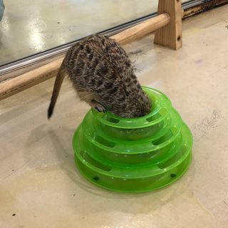 쪼다님이 올린 리뷰 사진 4