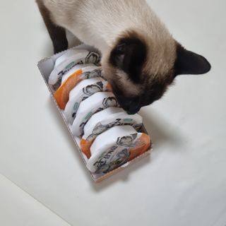 숑이님이 올린 리뷰 사진 2
