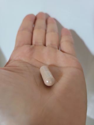 로얄 캐네디언 카보블록 슬림 — 4점을 준 리뷰어가 2023년 4월 올린 사용 사진