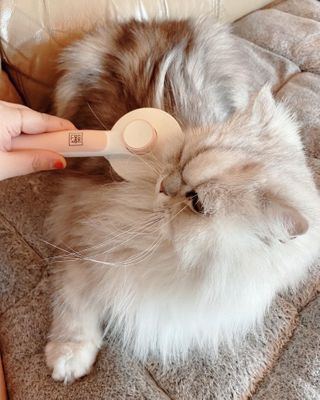 럽S하3님이 올린 리뷰 사진 1