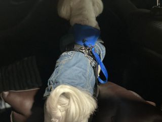 벨라님이 올린 리뷰 사진 2