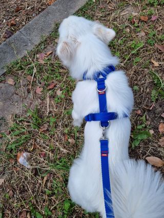 강이님이 올린 리뷰 사진 1